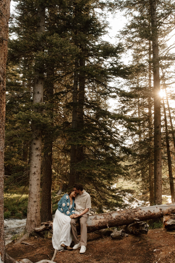 couple sits between evergreens on a log by a stream