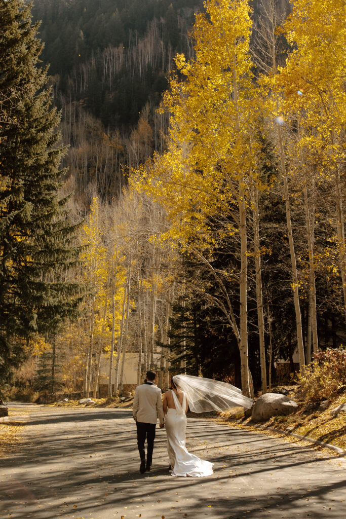 walking into the aspens in Colorado