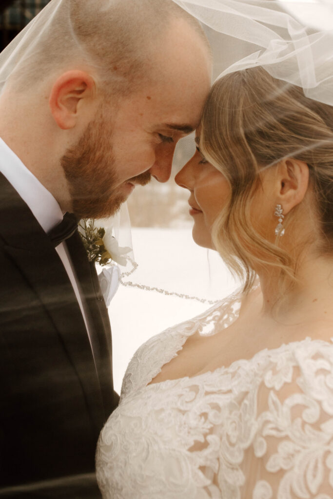 under the veil wedding portraits in upstate New York 