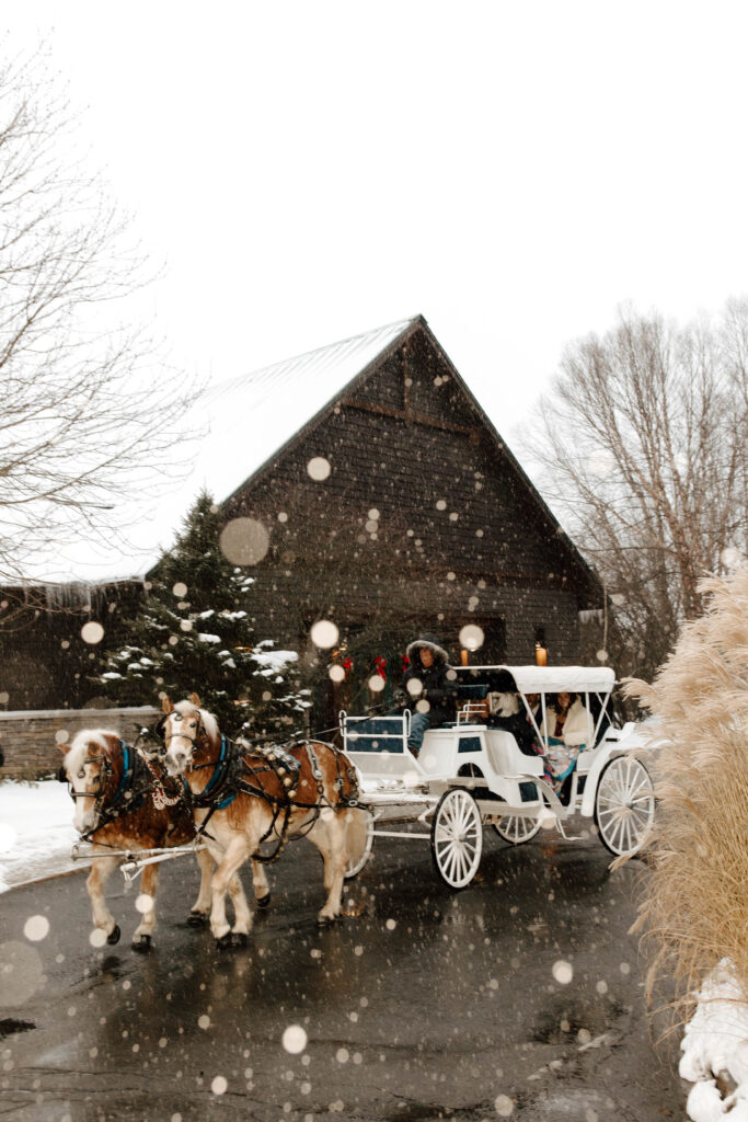 horse drawn sleigh rides in Skaneateles 