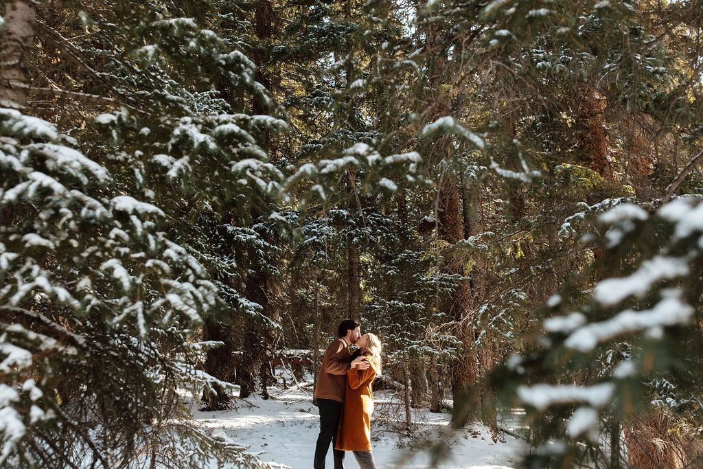 engagement photos in the pine trees