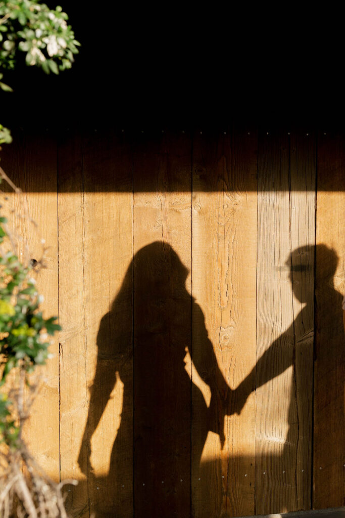 epic engagement photos California