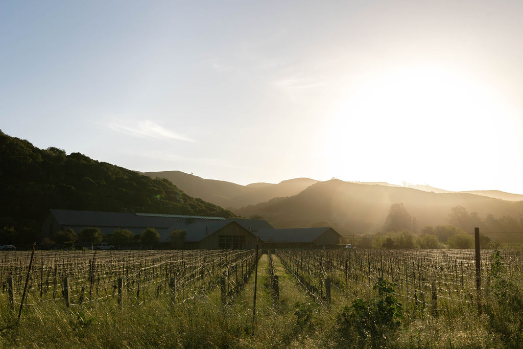 estate winery california wedding